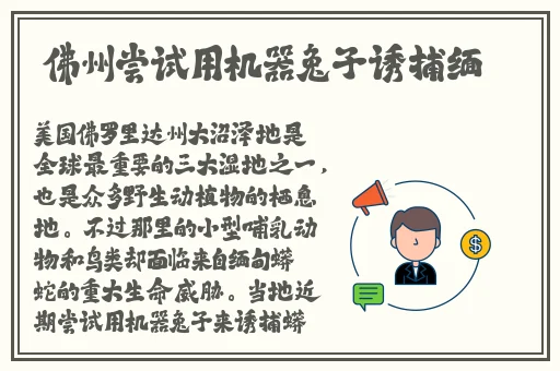 日本精品久久久免费高清